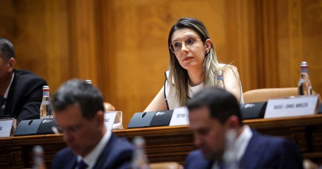 Diana Buzoianu Salina Pride Institutii Responsabile 001