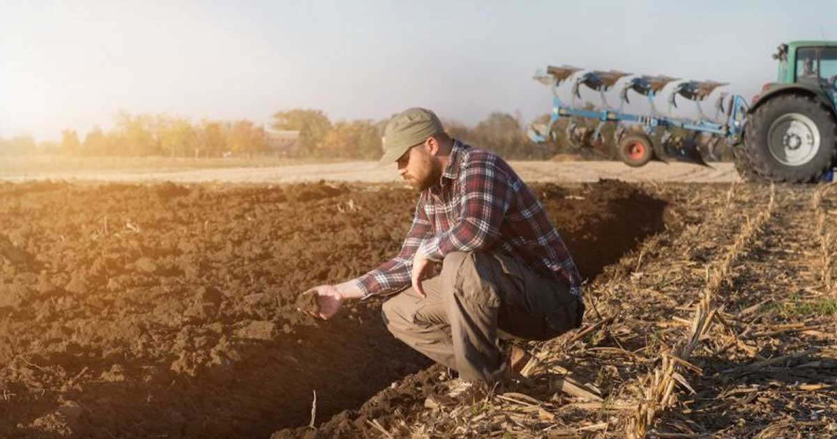 Fermier român lucrând în câmp, beneficiar al noilor măsuri de sprijin aprobate de Parlamentul European, decembrie 2025