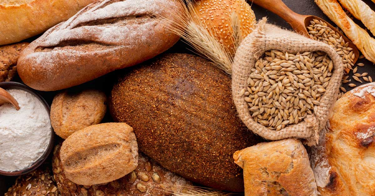 Plantă de laborator modificată genetic prin noi tehnici genomice, simbol al acordului istoric al Uniunii Europene pentru autorizarea NTG în agricultură, decembrie 2025