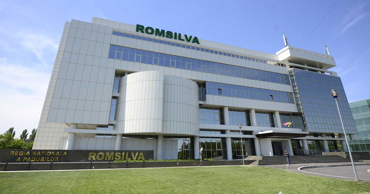 Păduri din județul Bacău administrate de Romsilva, februarie 2026, după decizia definitivă de menținere în proprietatea statului român a celor 43.227 hectare