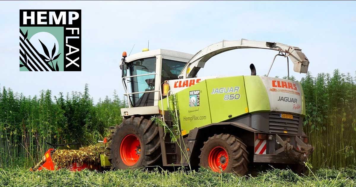 Facilitate industrială de procesare a cânepei HempFlax din zona Sebeș Alba Iulia scoasă la vânzare în februarie 2026