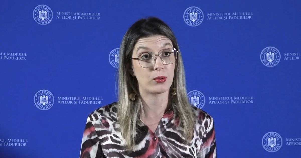 la guvern se pregateste o mica revolutie se schimba inclusiv regulile pentru a aduce masini din alta tara 803993 Diana Buzoianu, ministrul Mediului, conferință de presă despre regulile privind produsele second-hand, martie 2026