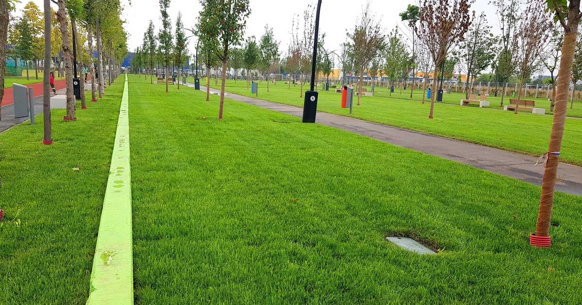 Daniel Baluta Renunta La Parcul Donald J Trump 616952