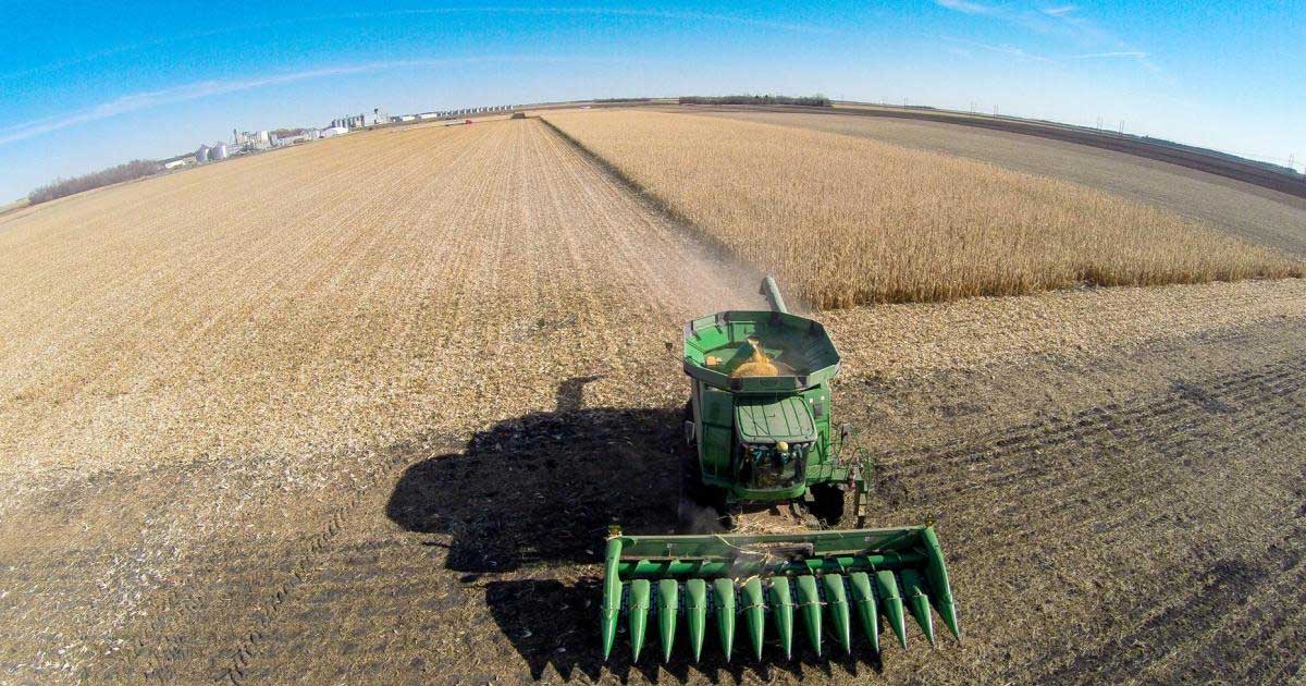 Ferme agricole Insula Mare Brăila Agricost companie Emiratele Arabe Unite subvenții UE mai 2026