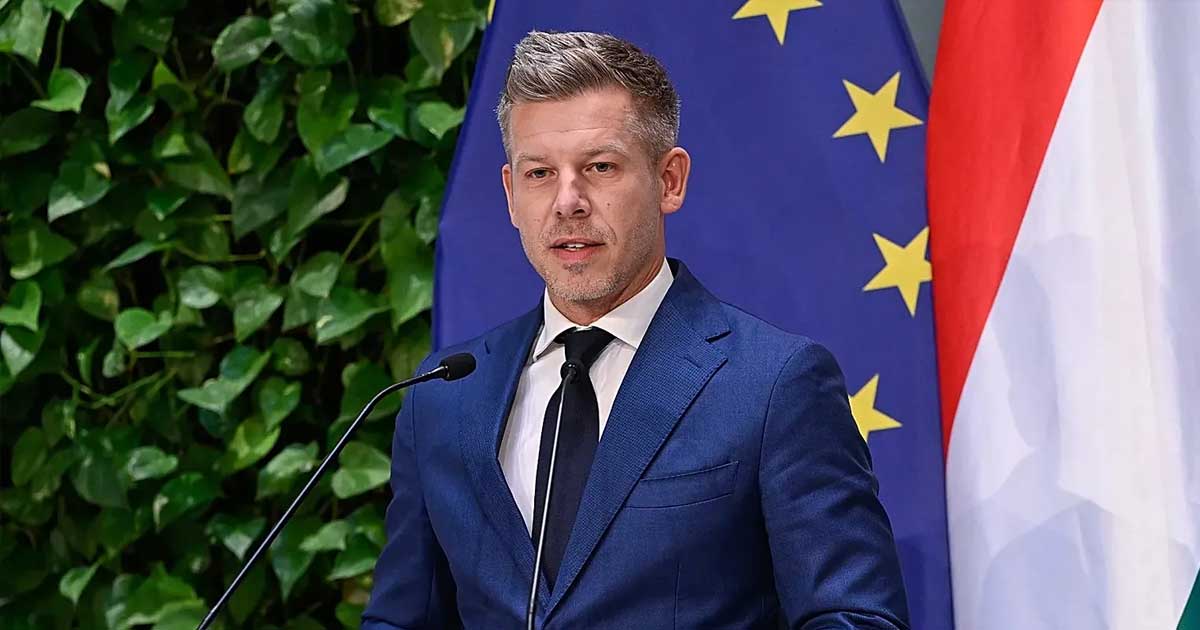 ungaria isi exprima solidaritatea cu romania p ter magyar reactioneaza dupa incidentul cu drona de la galati 394611 Péter Magyar premier Ungaria declarație solidaritate România dronă rusească Galați mai 2026