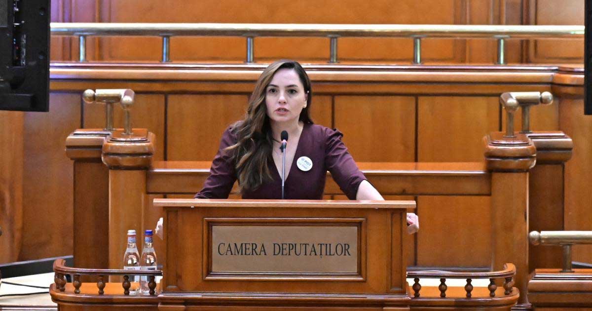 Anamaria Gavrilă, președinta POT, la o conferință de presă despre sesizarea CCR, iunie 2026