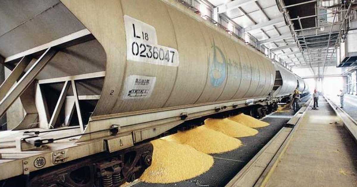 Vagoane de marfă încărcate cu cereale ucrainene pe calea ferată spre Portul Constanța, august 2026