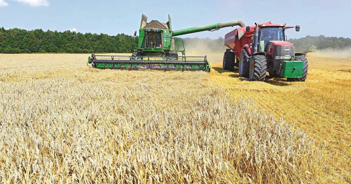 combina recoltare cereale romania ucraina 2026 065695 Siloz de cereale plin în România, camioane la încărcare, campanie agricolă august 2026