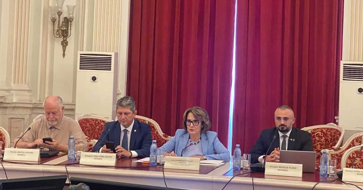 comisia aparare senat pauliuc drone constanta 2026 099236 Ședința Comisiei de Apărare din Senat, dezbatere despre dronele maritime din Portul Constanța, august 2026