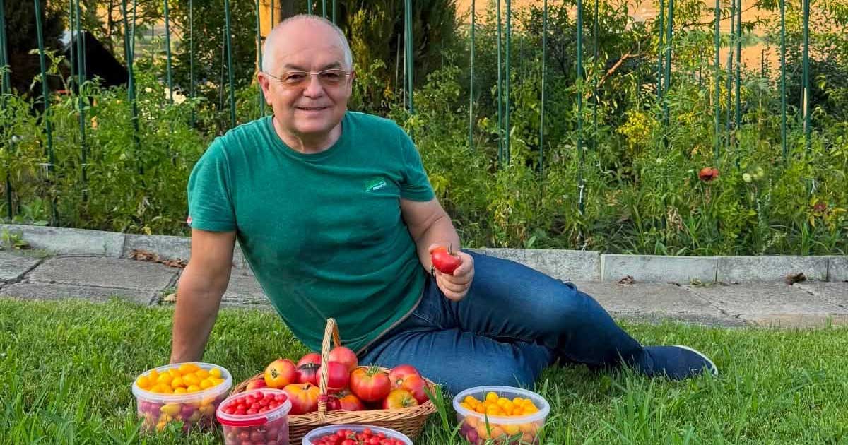 Emil Boc, primarul Cluj-Napocăi, alături de primele roșii culese din grădina proprie, august 2026