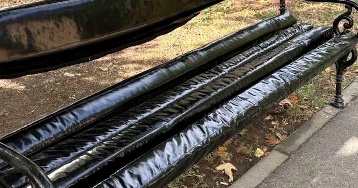 Bancă tapițată cu vinil negru din instalația dedicată comunității LGBTQ+ în Parcul Botanic din Timișoara, septembrie 2026