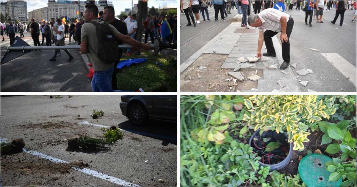 Dale sparte și plante smulse în Piața Victoriei, București, după protestul violent al fermierilor, septembrie 2026