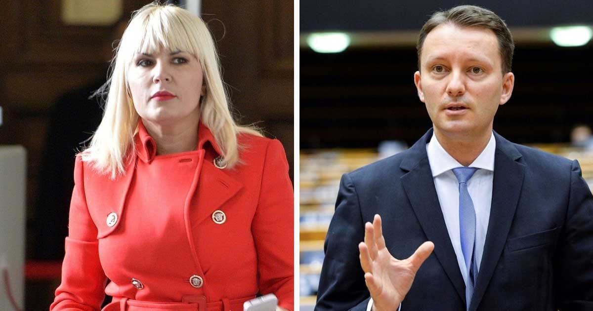 Elena Udrea și Siegfried Mureșan, colaj foto despre culisele candidaturii din 2014