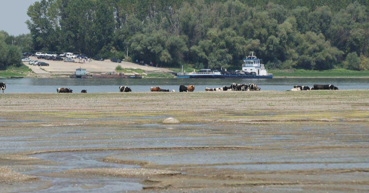 Malul Dunării la Cernavodă cu apa retrasă, imagine despre nivelul scăzut al fluviului și măsurile pregătite de autorități